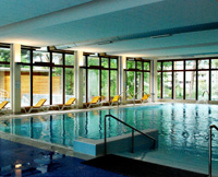 Indoor pool at Les Bains Les lLavey